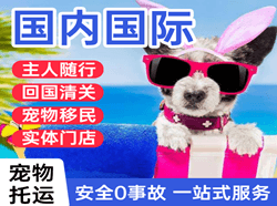 北海机场邮寄国际宠物托运 【国